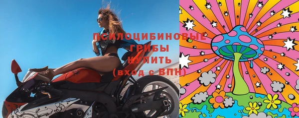 индика Куйбышев