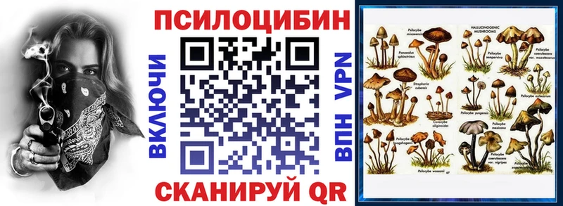 Галлюциногенные грибы Magic Shrooms  купить   Томари 
